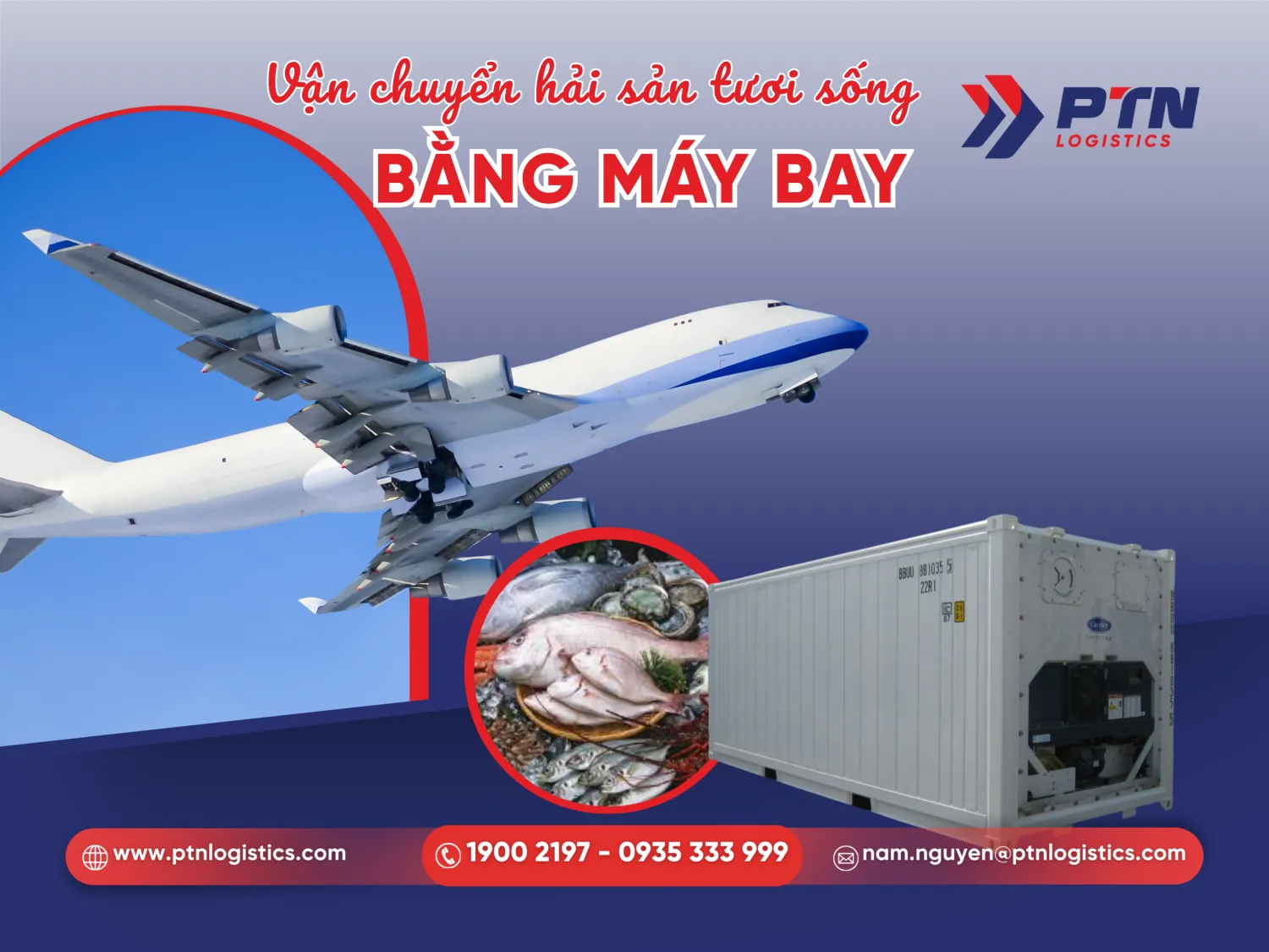 Vận chuyển thủy hải sản tươi sống bằng đường hàng không