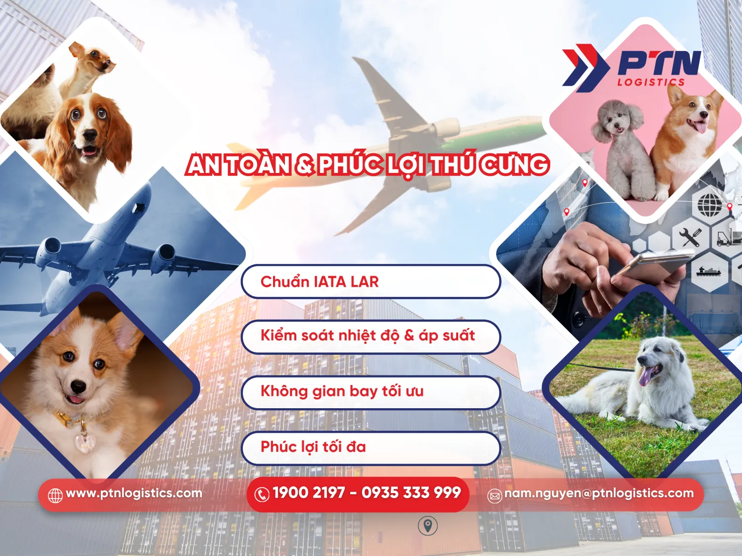 An toàn và phúc lợi thú cưng