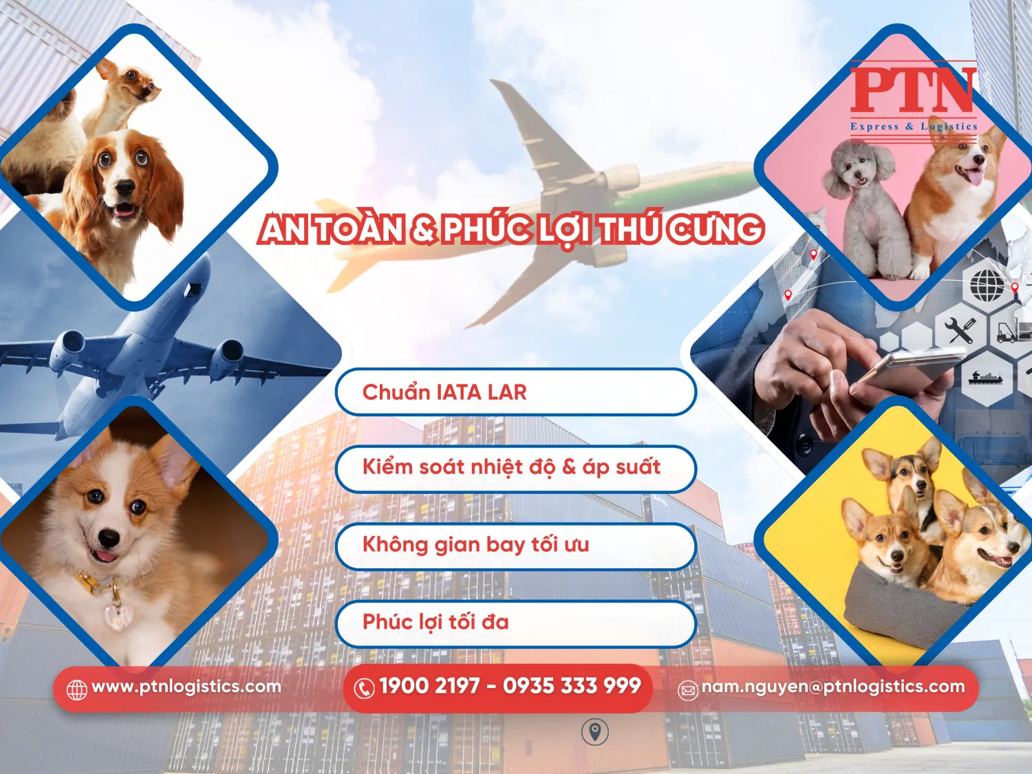 An toàn và phúc lợi