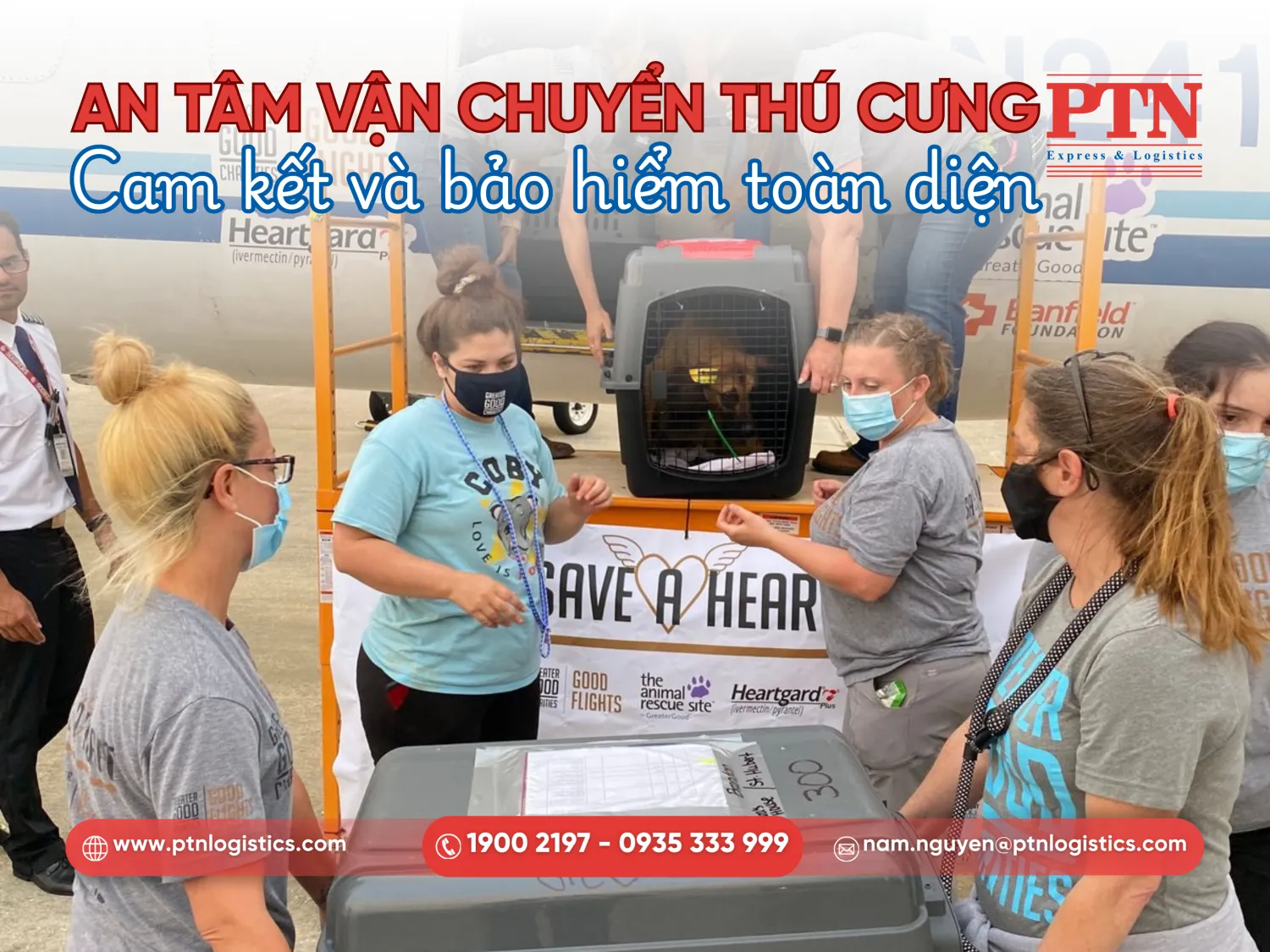 Các cam kết cần có khi vận chuyển thú cưng