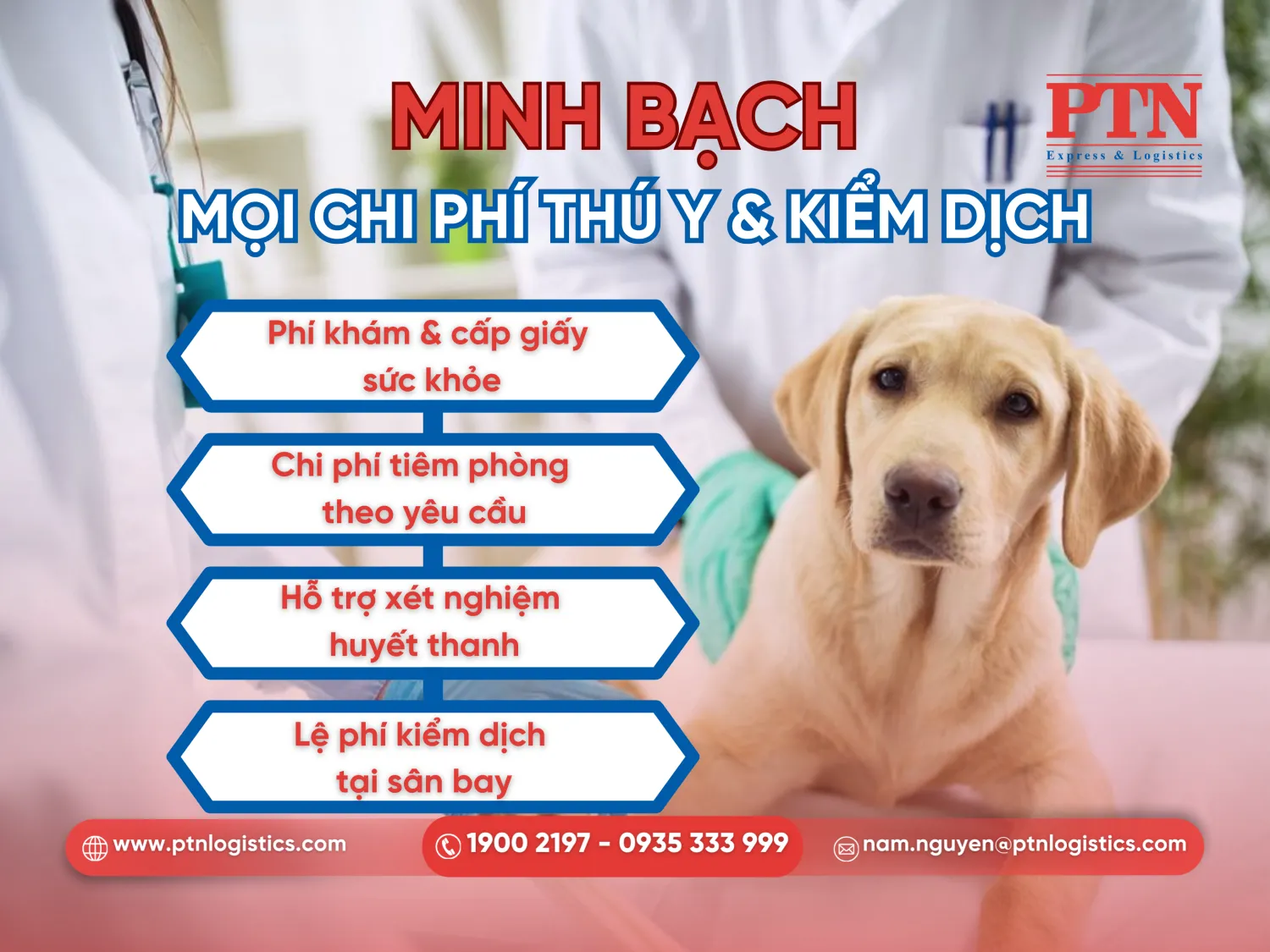 Các chi phí thú y khi vận chuyển thú cưng đi Mỹ