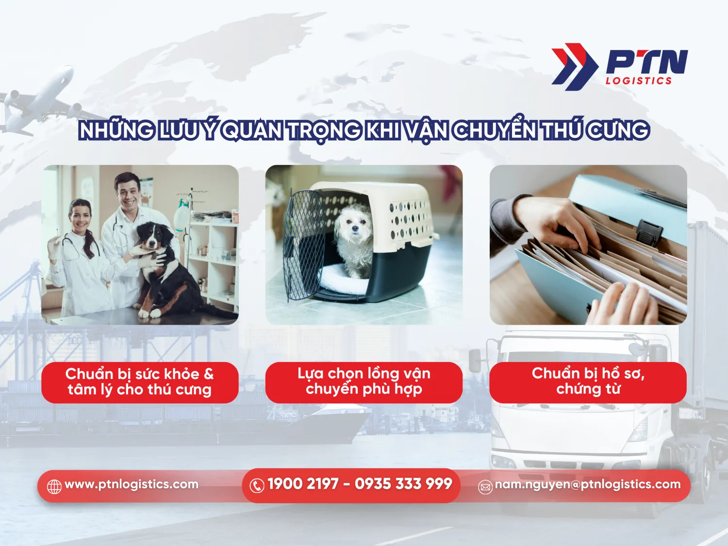 Các lưu ý quan trọng khi vận chuyển thú cưng