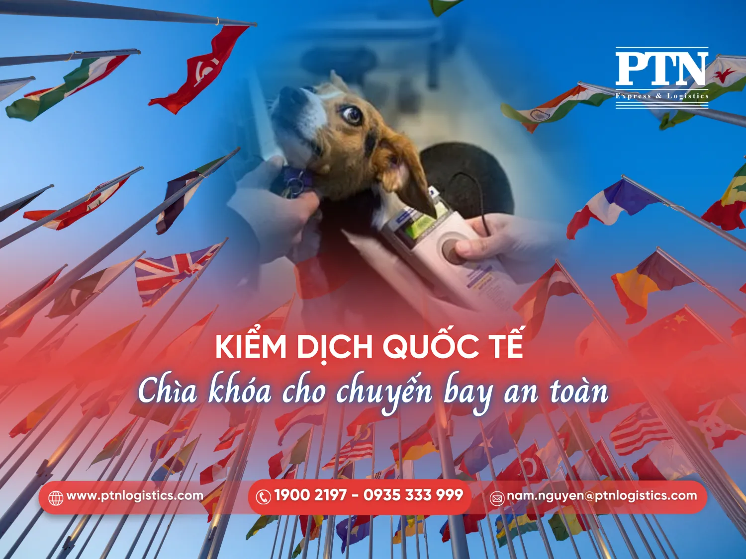 Các quy định về kiểm dịch quốc tế