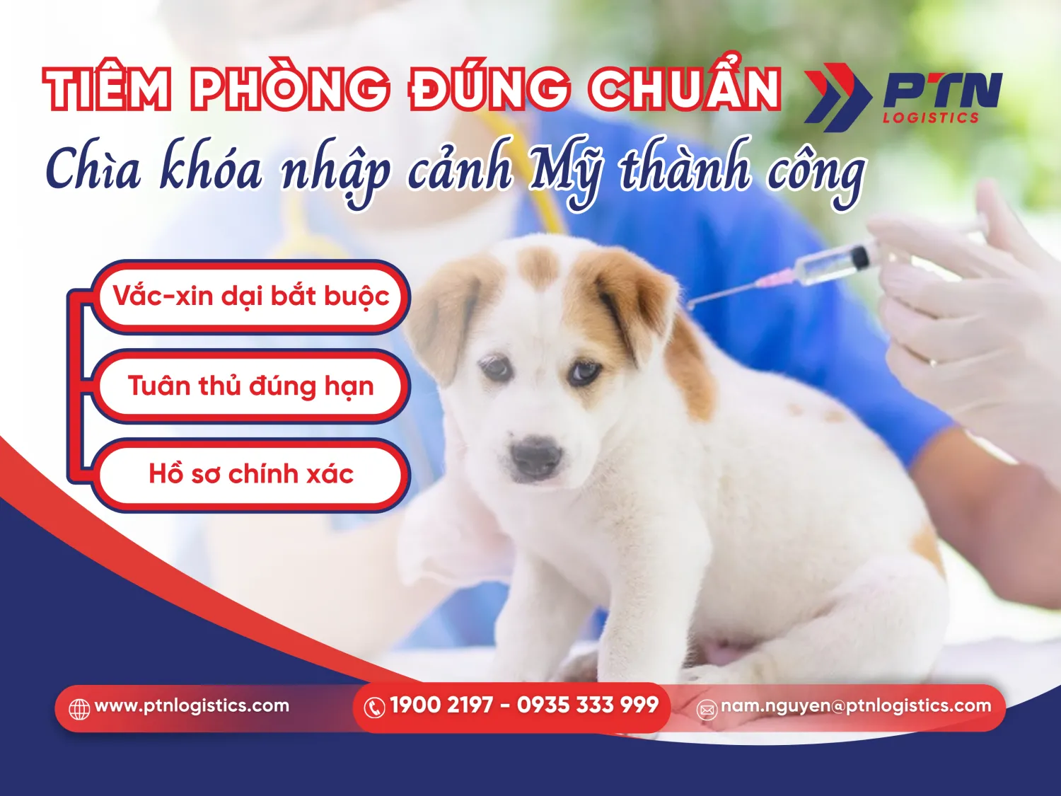 Các quy định về tiêm phòng khi nhập khẩu thú cưng vào Hoa Kỳ