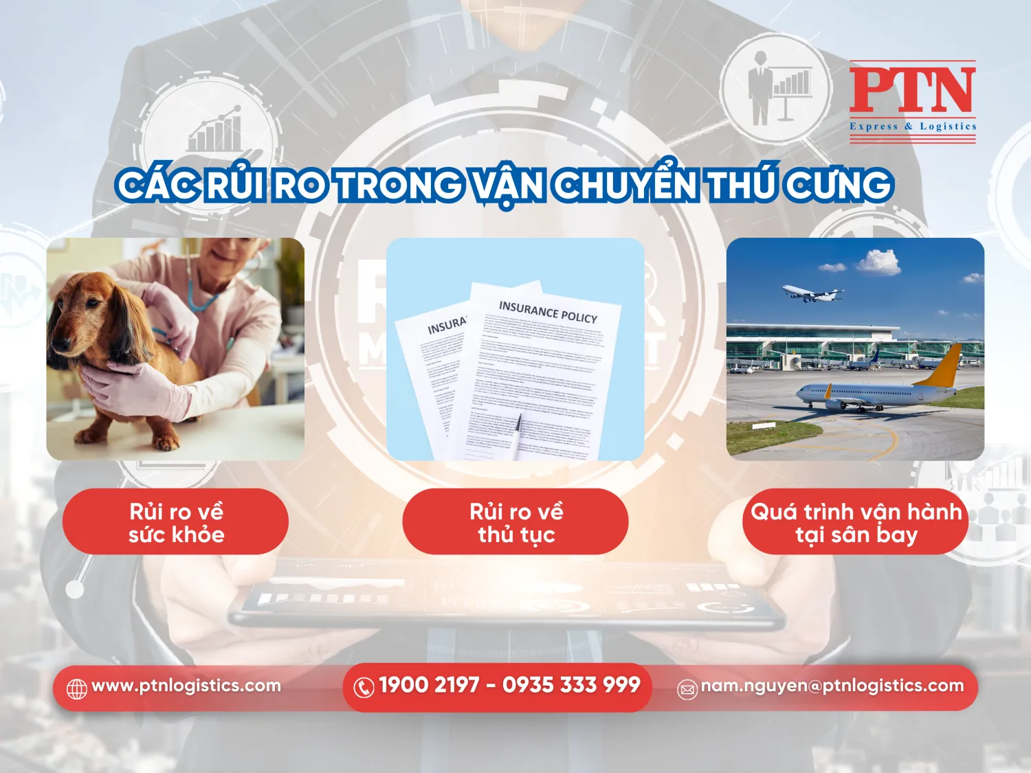 Các rủi ro trong vận chuyển thú cưng