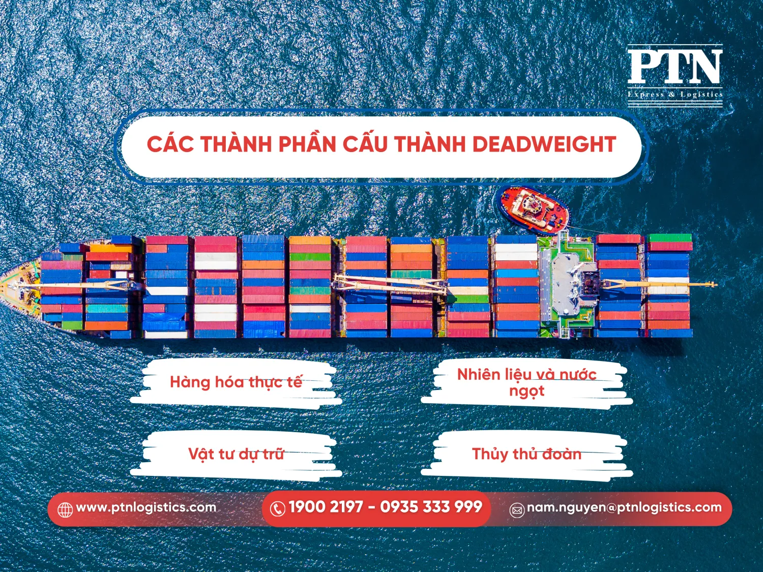 Các thành phần cấu thành Deadweight