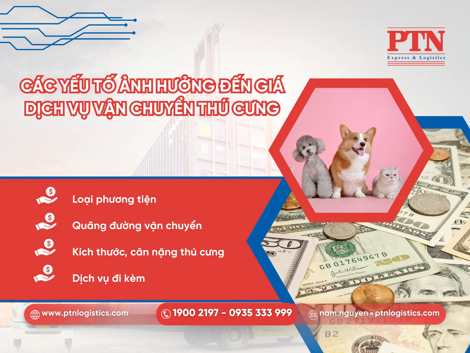 Các yếu tố ảnh hưởng đến giá dịch vụ vận chuyển thú cưng