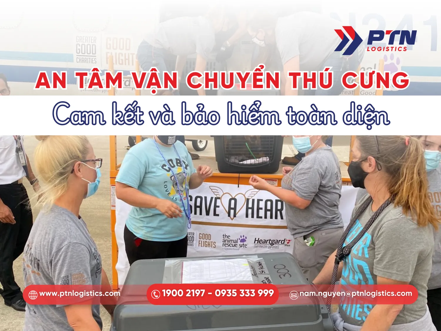 Cam kết cần có khi vận chuyển thú cưng
