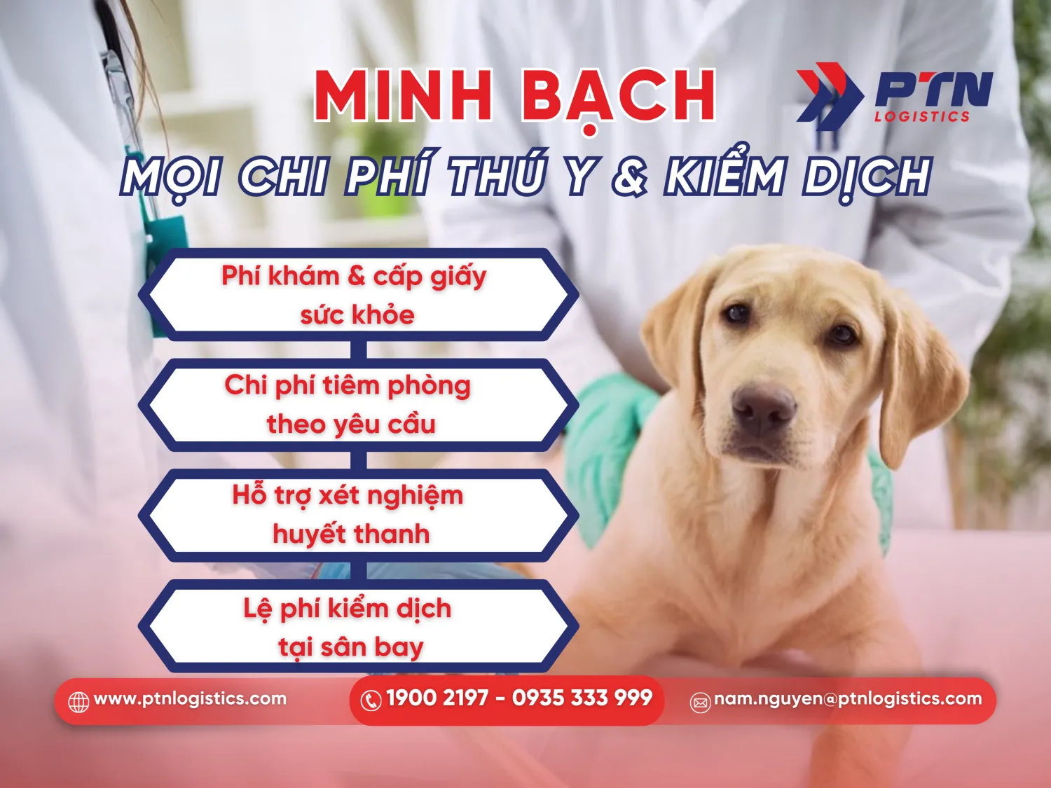 Chi phí thú y khi vận chuyển thú cưng đi Mỹ