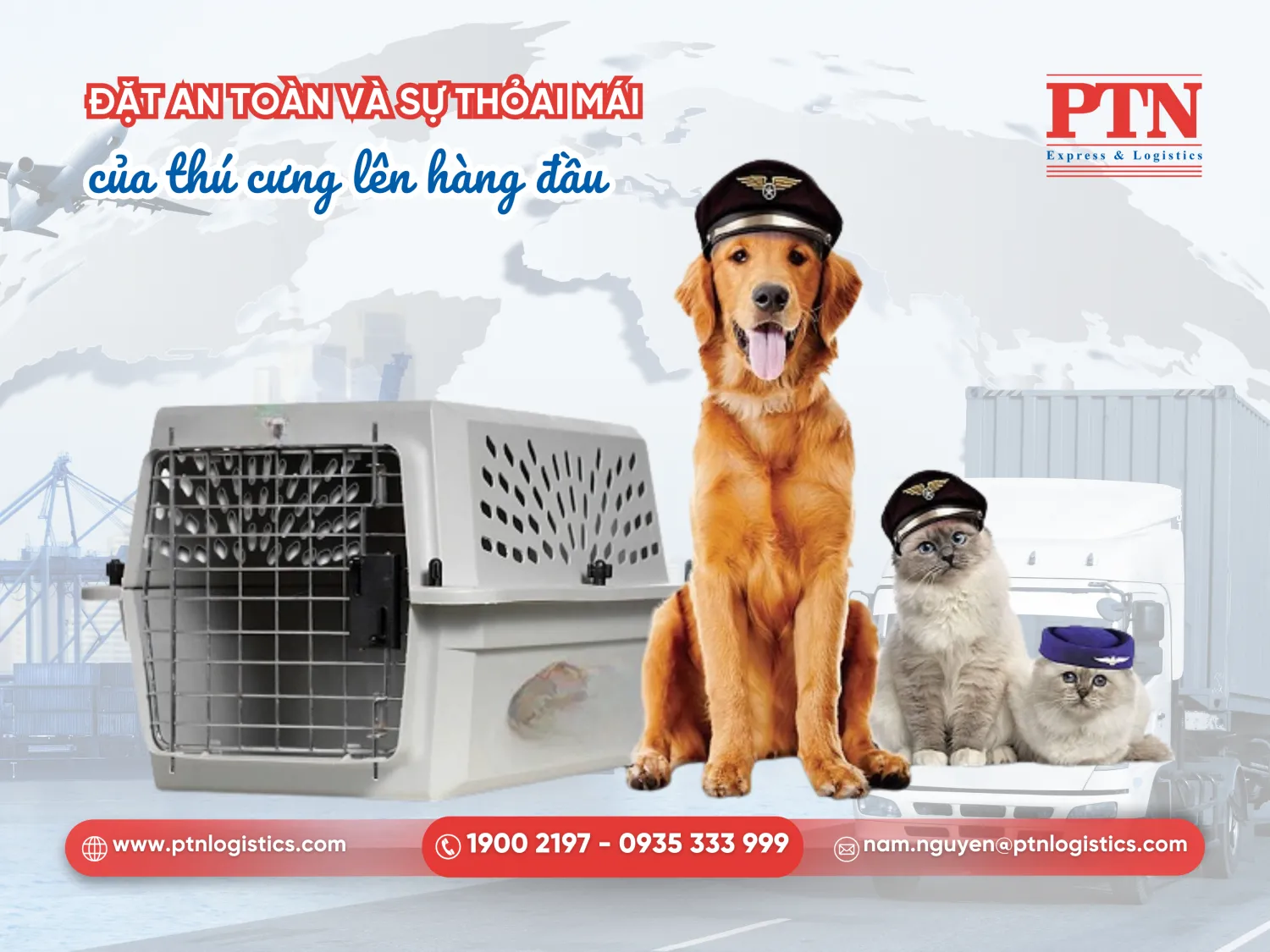 Đặt an toàn và sự thoải mái của thú cưng lên hàng đầu