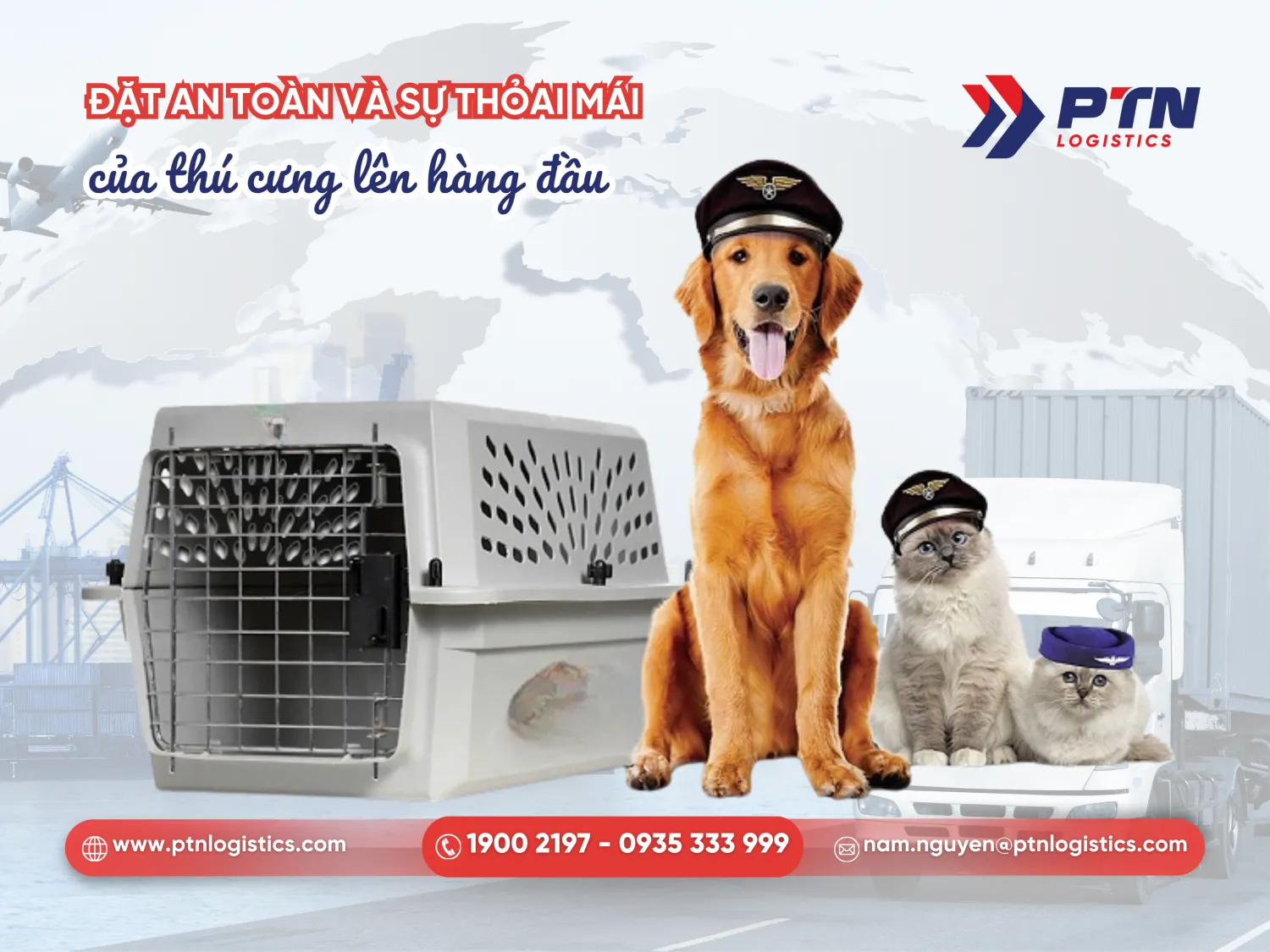 Đặt sự an toàn và thoải mái của thú cưng lên hàng đầu