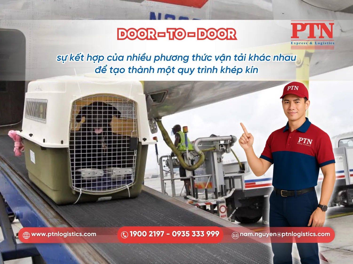 Dịch vụ vận chuyển thú cưng Door-to-Door