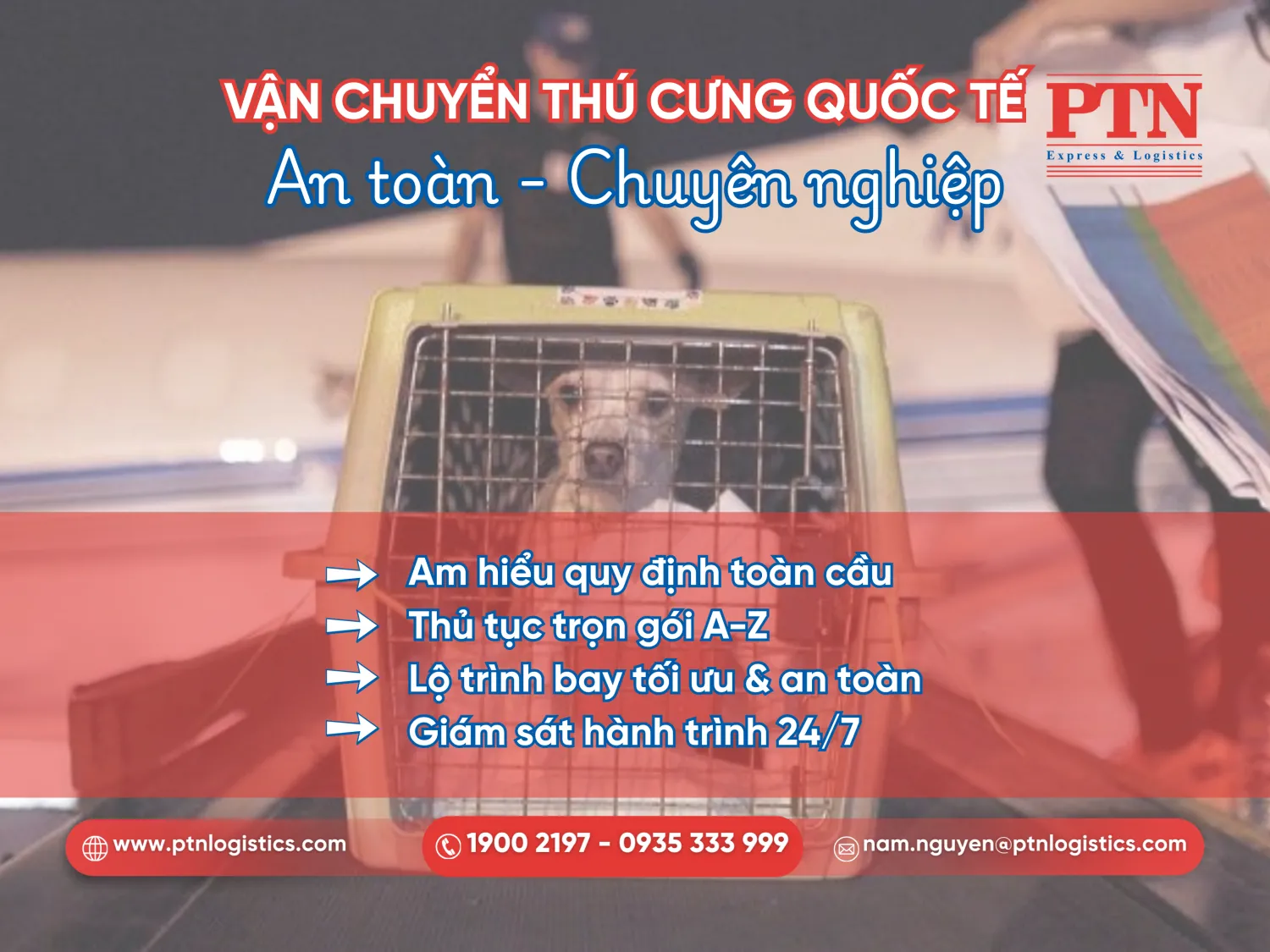 Giải pháp vận chuyển thú cưng máy may chuyên nghiệp từ PTN Logistics