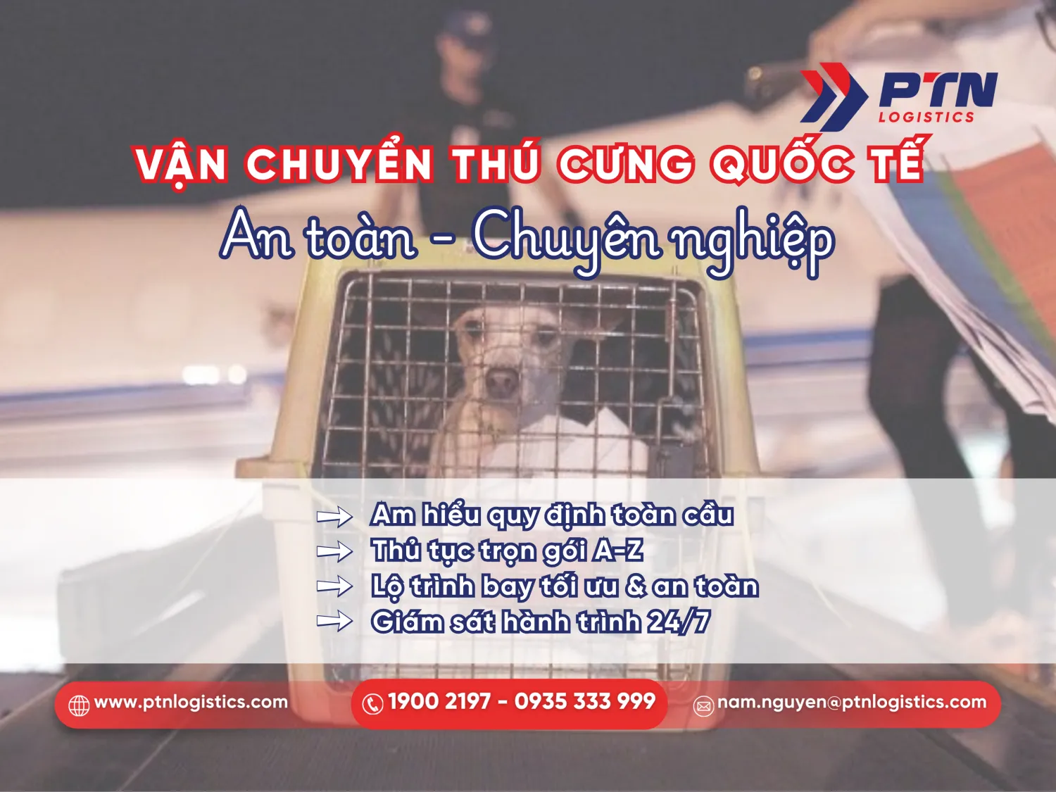 Giải pháp vận chuyển thú cưng bằng máy bay từ PTN Logistics