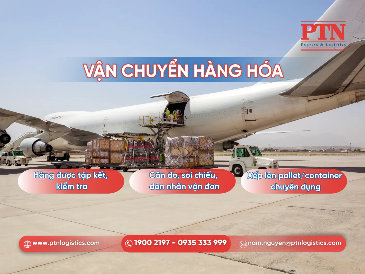 Hãng hàng không vận chuyển hàng