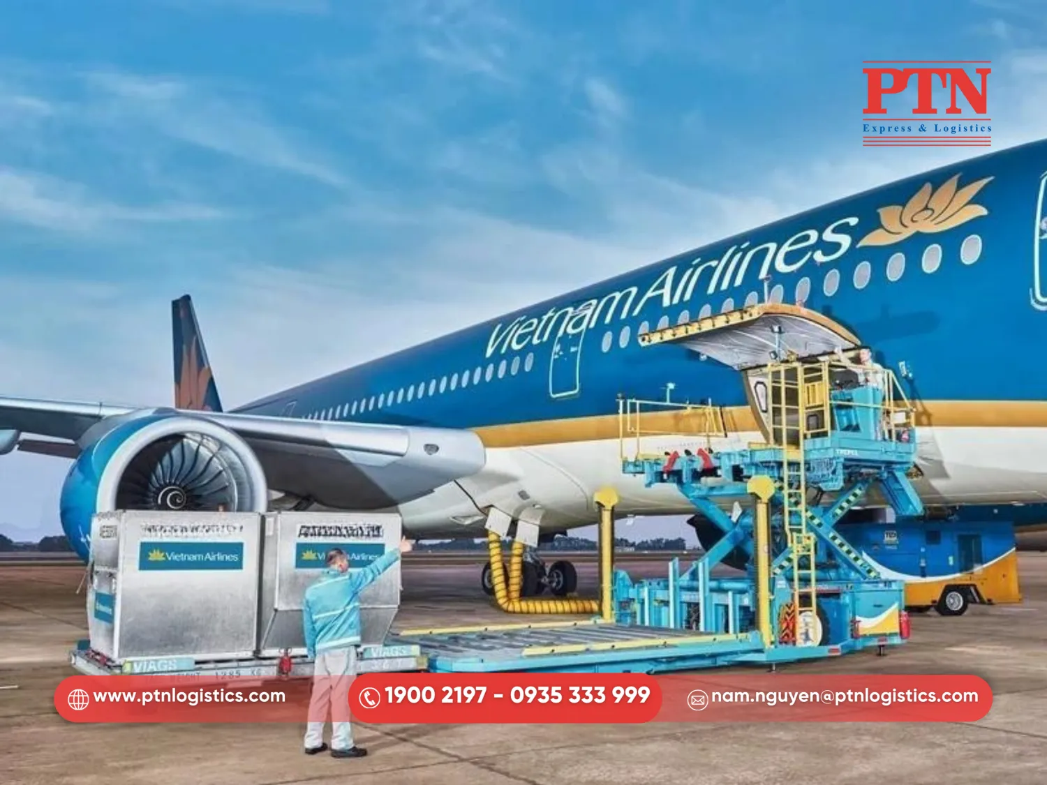 Hãng hàng không Vietnam Airlines