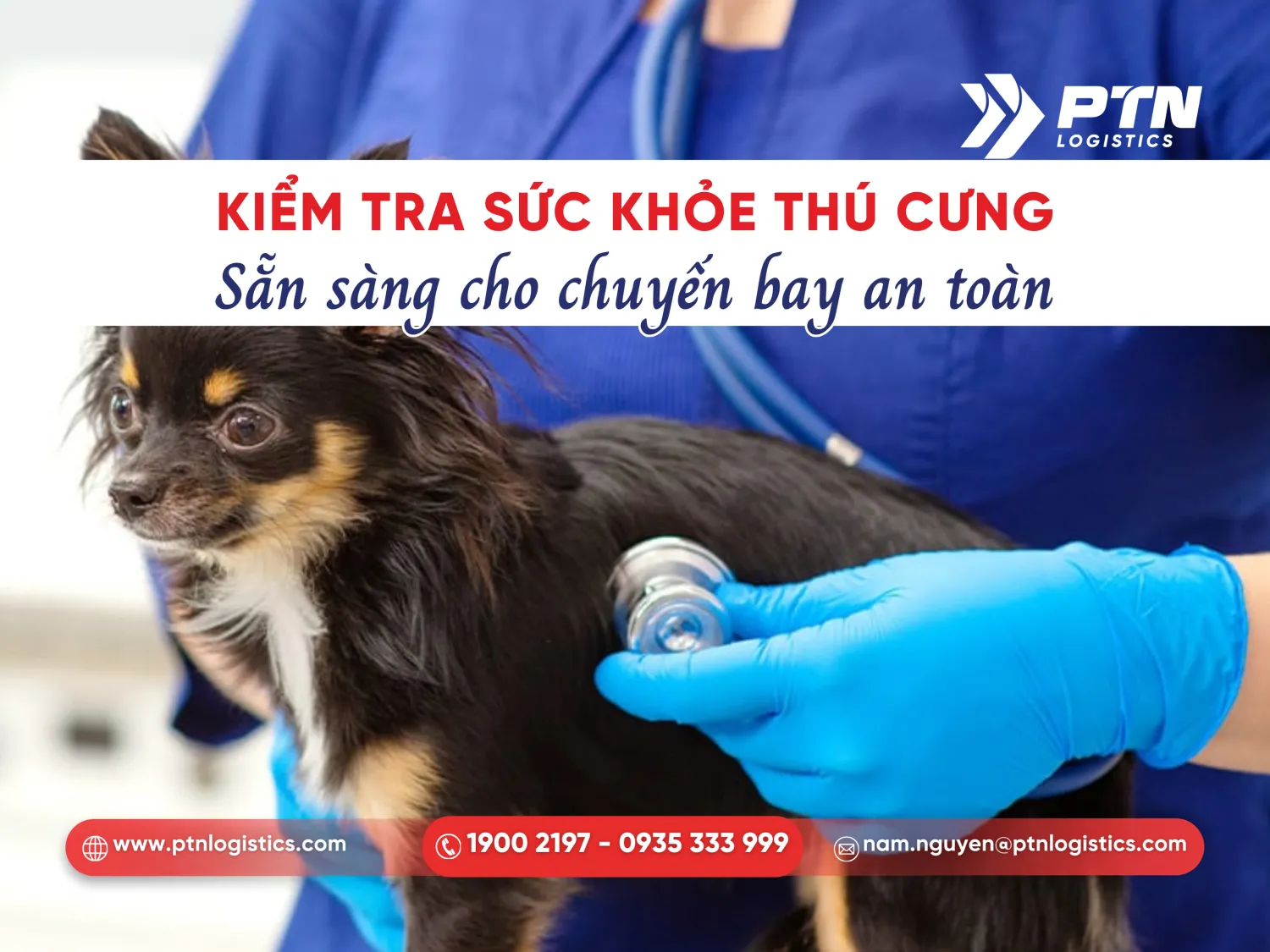 Kiểm tra sức khỏe thú cưng