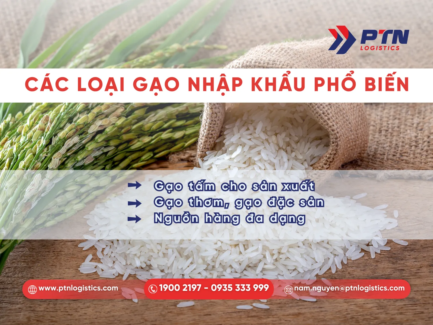 Loại gạo nhập khẩu phổ biến hiện nay
