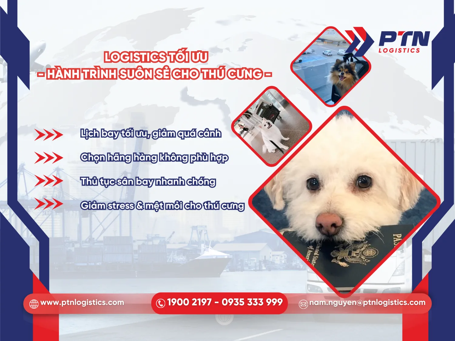 Logistics hỗ trợ tối ưu hành trình suôn sẻ cho thú cưng