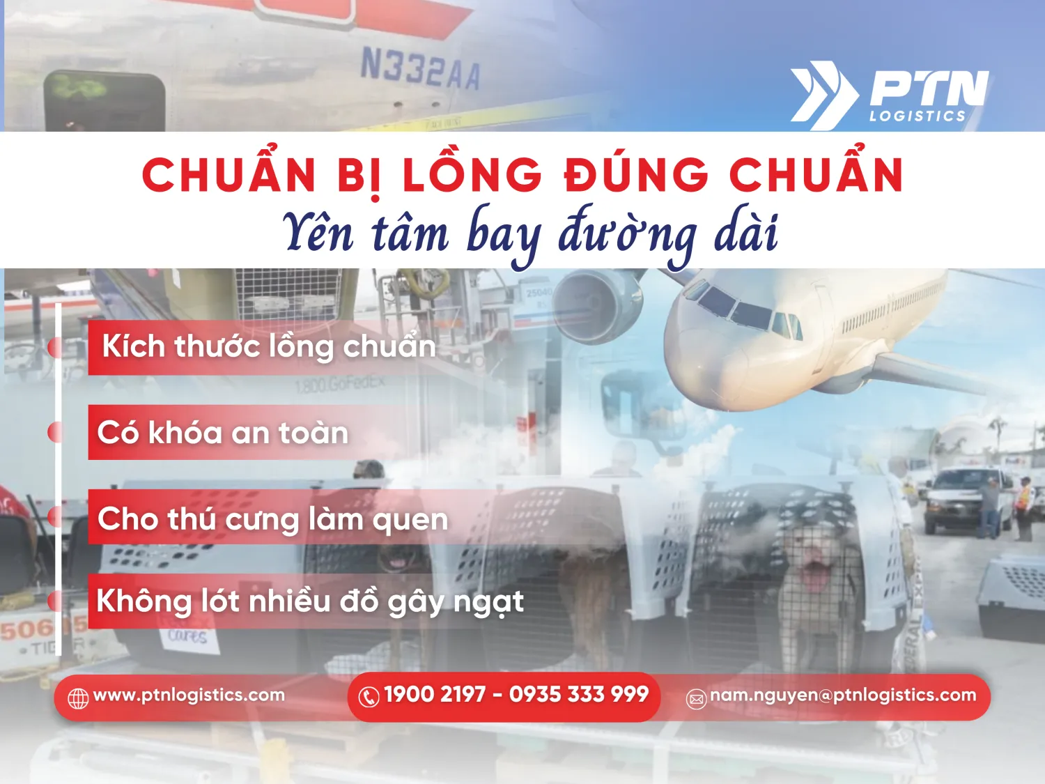 Lỗi khi sử dụng lồng vận chuyển thú cưng không phù hợp