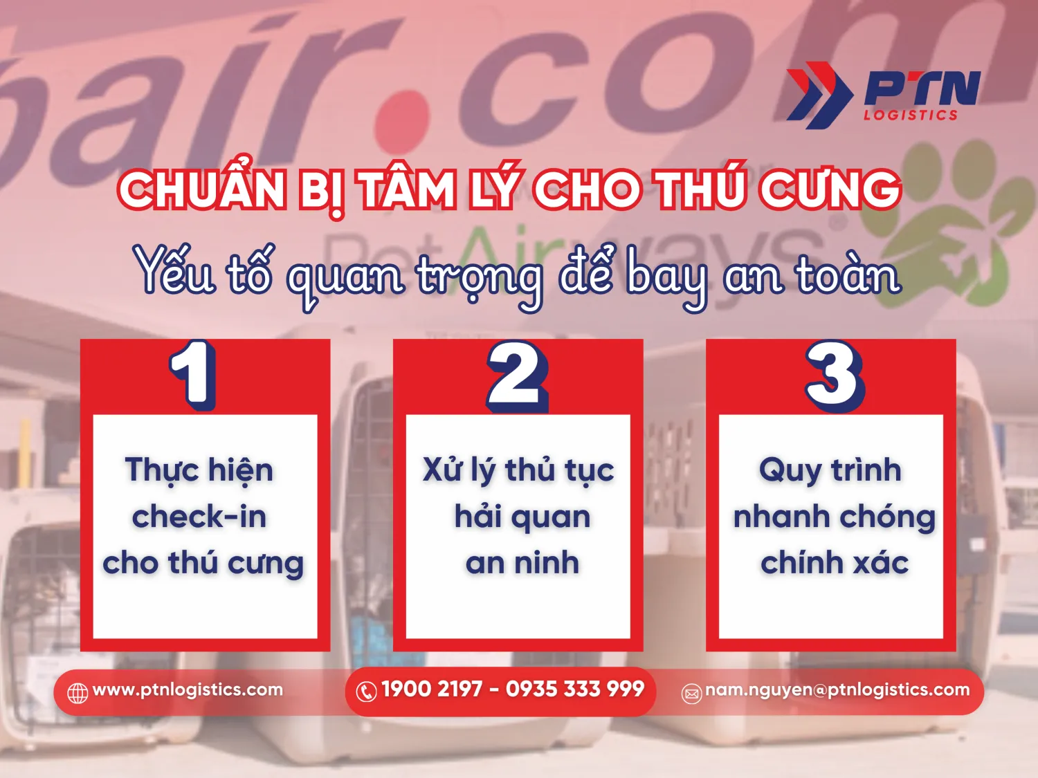 Lỗi sai khi không cho thú cưng làm quen với lồng