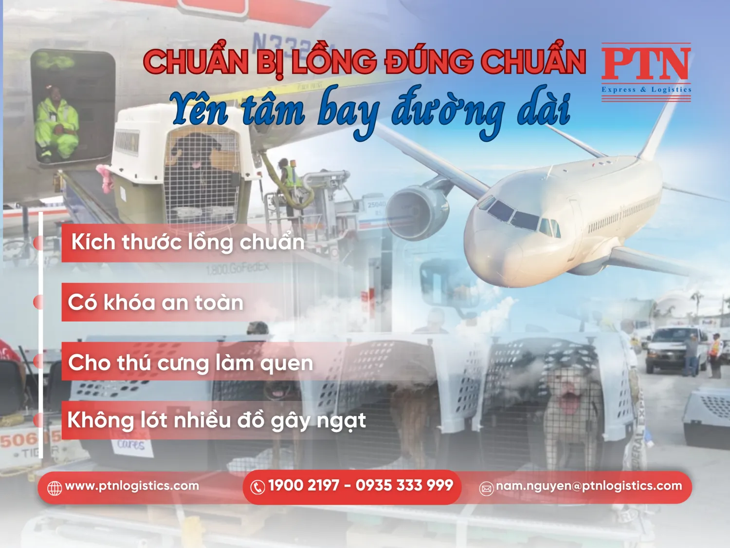 Lỗi sai khi sử dụng lồng vận chuyển thú cưng không phù hợp