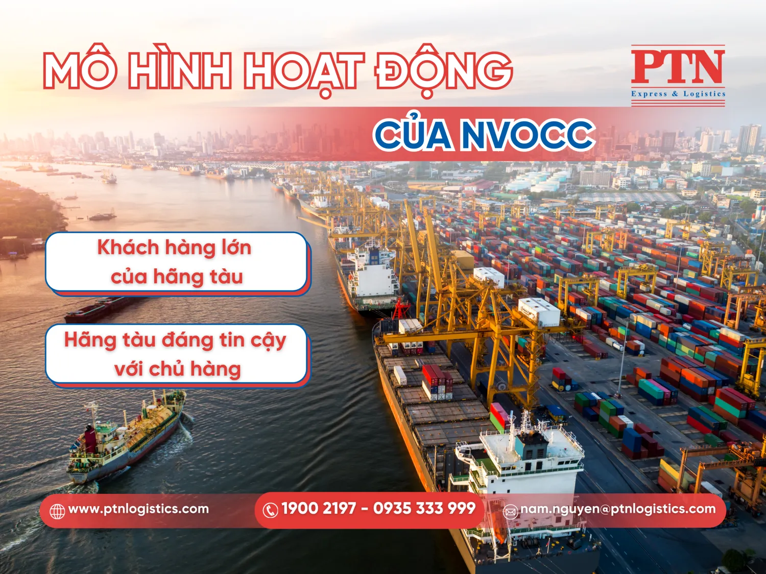 Mô hình hoạt động của NVOCC