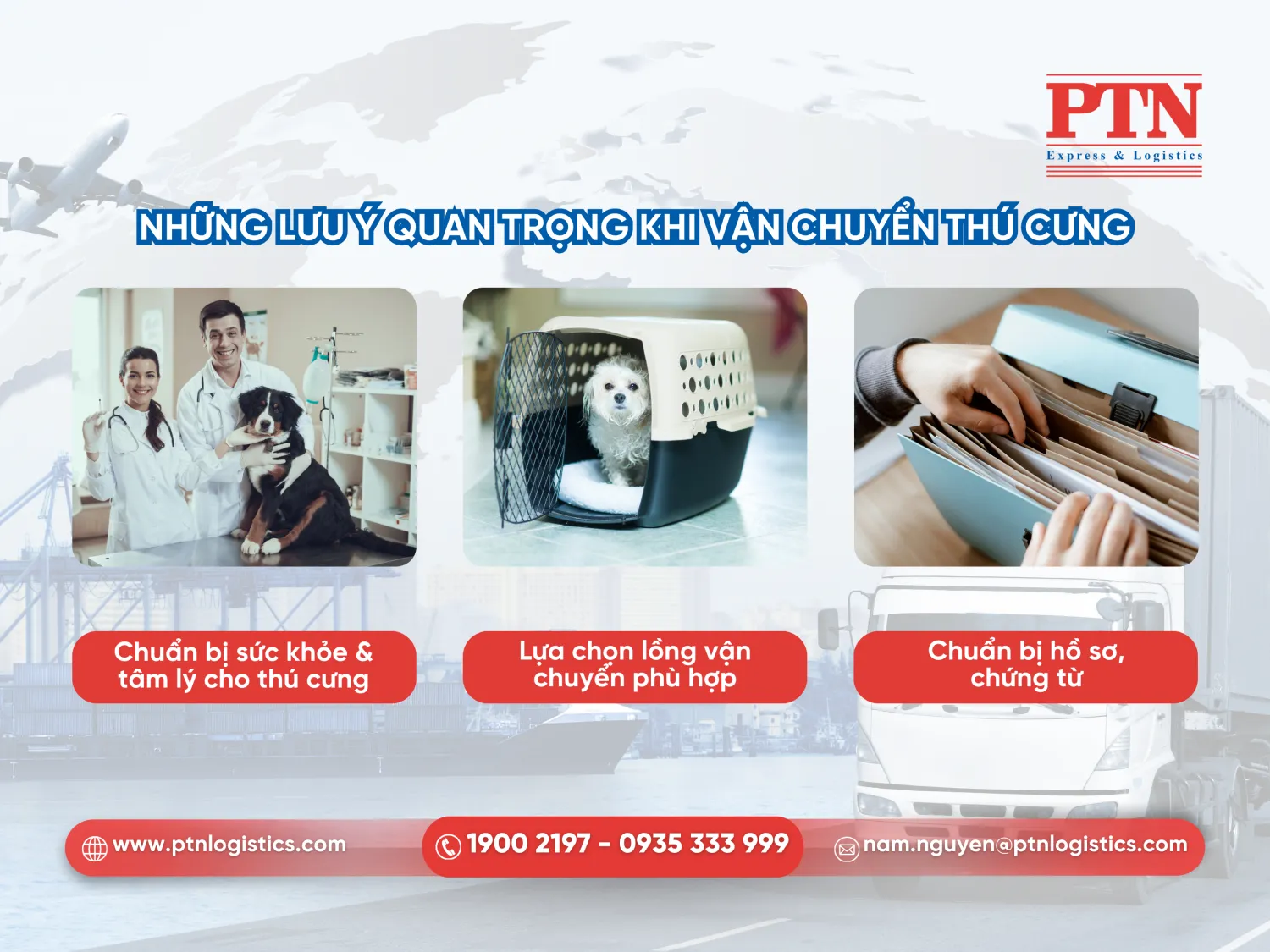 Những lưu ý quan trọng khi vận chuyển thú cưng