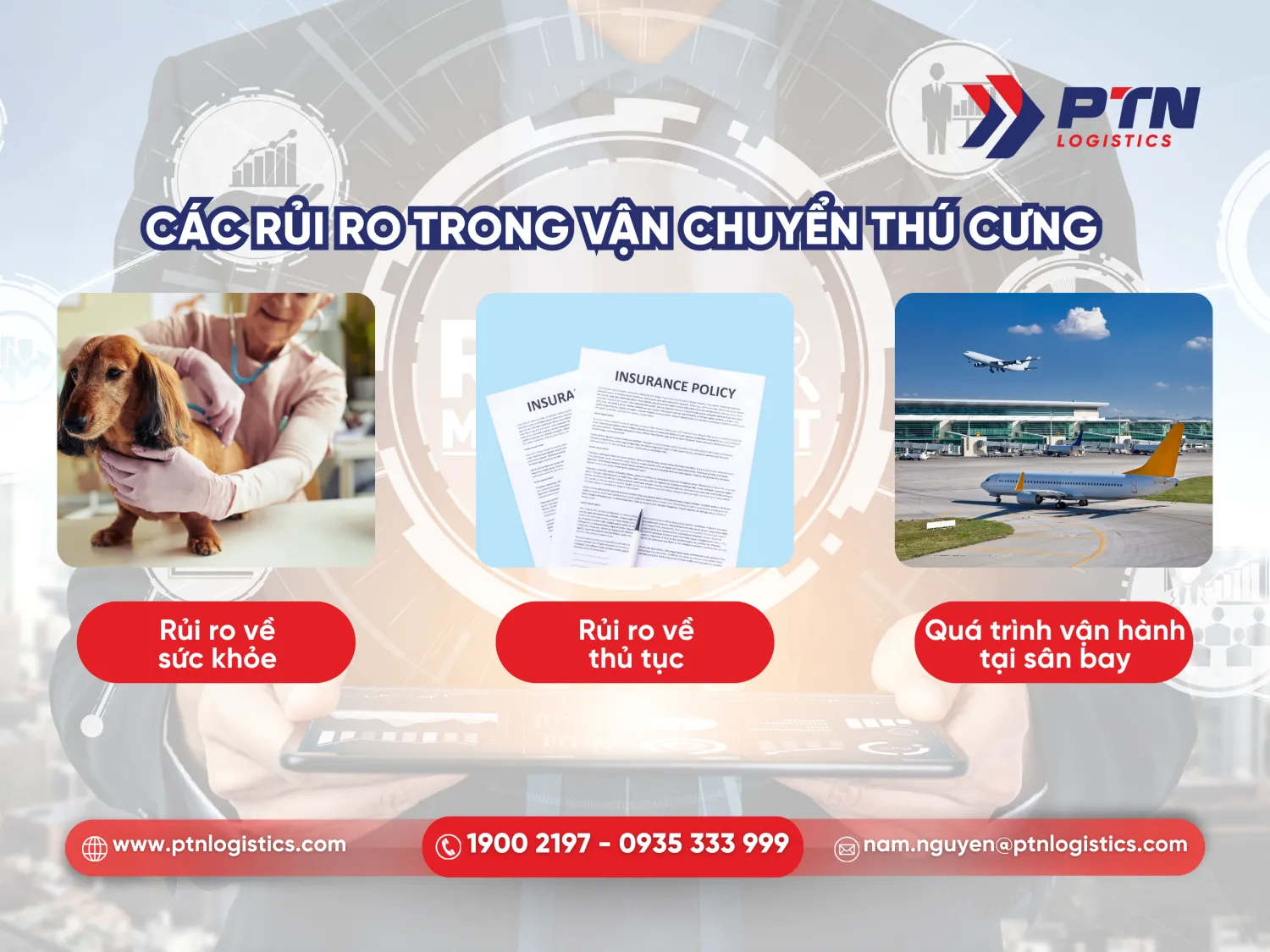 Những rủi ro trong vận chuyển thú cưng