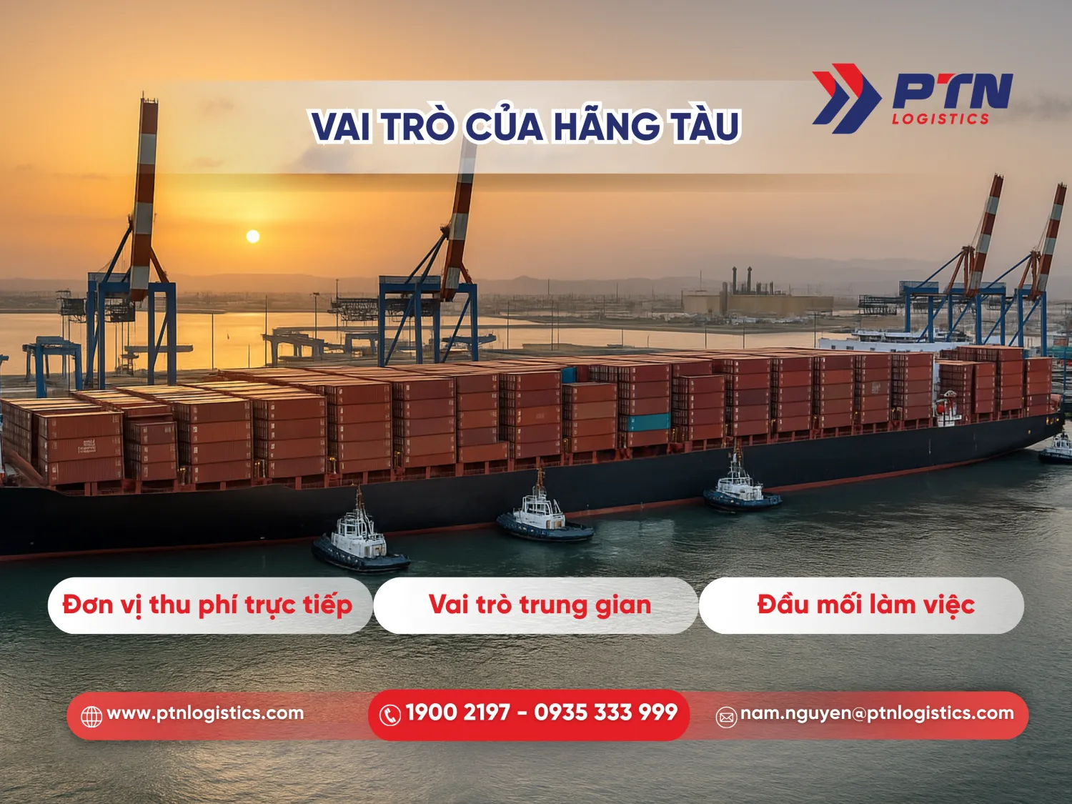 Những vai trò của hãng tàu
