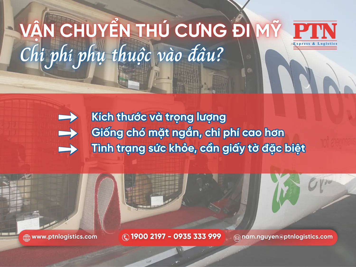 Những yếu tố ảnh hưởng đến chi phí