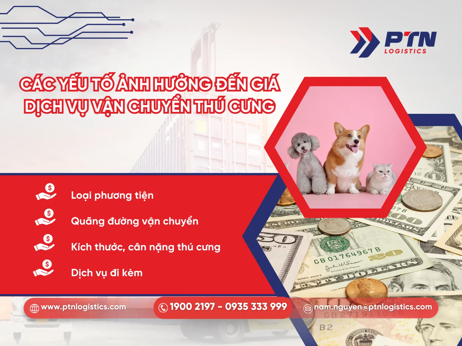 Những yếu tố ảnh hưởng đến giá dịch vụ vận chuyển thú cưng