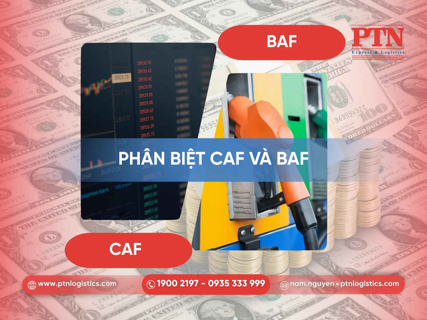 Phân biệt CAF và BAF
