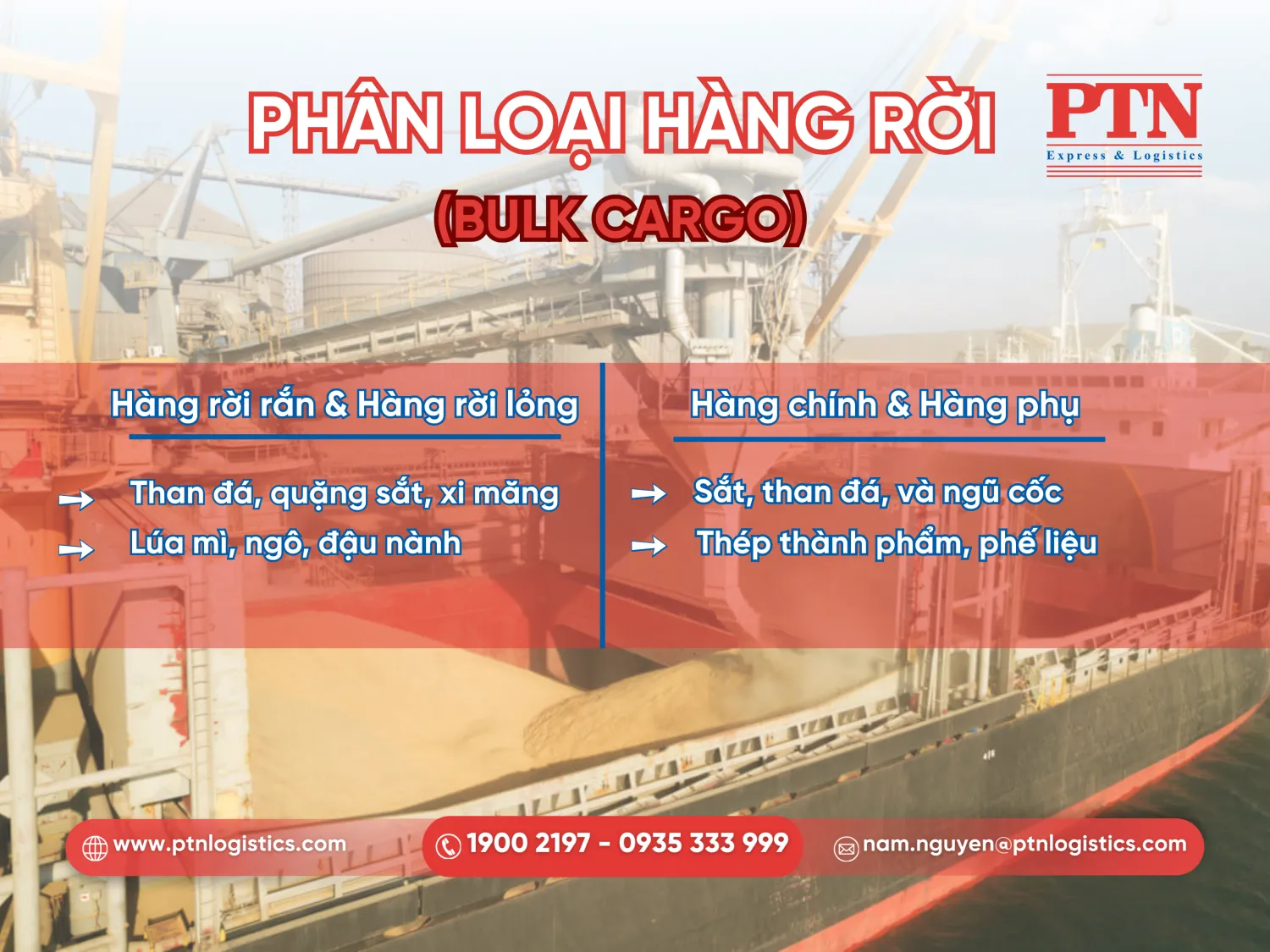 Phân loại Bulk Cargo trong vận tải quốc tế