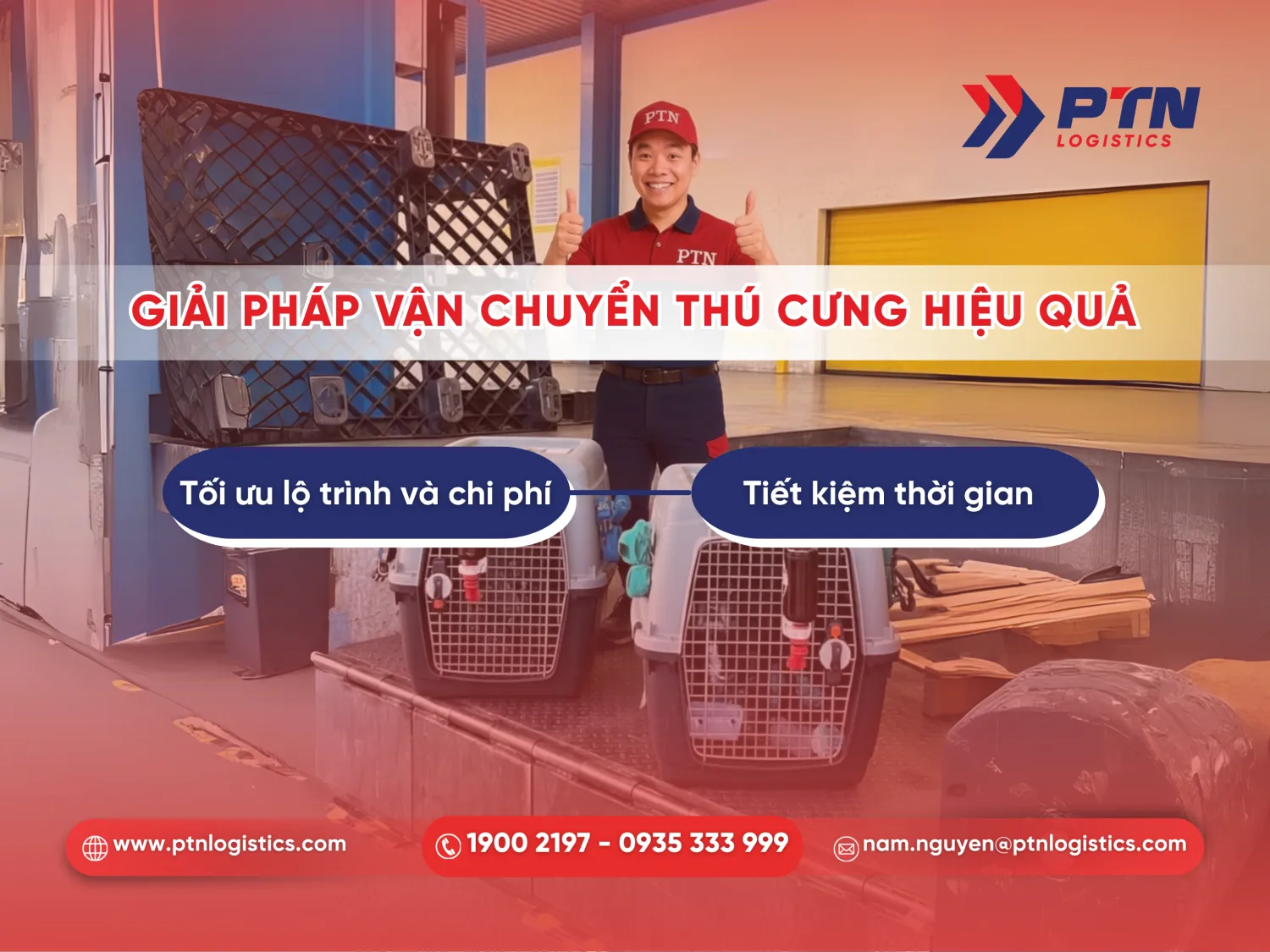 PTN Logistics cung cấp giải pháp vận chuyển thú cưng chuyên nghiệp