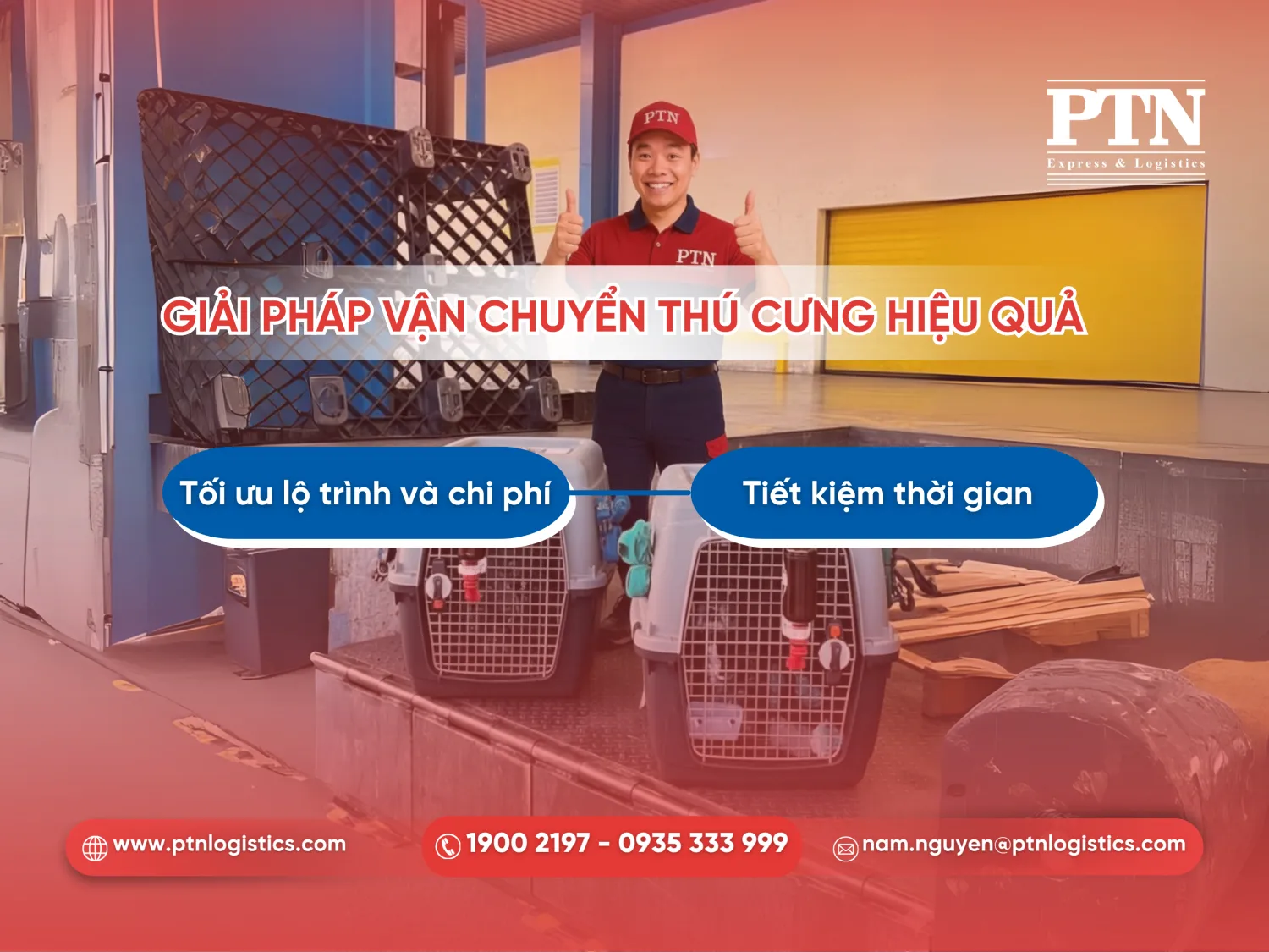 PTN Logistics cung cấp giải pháp vận chuyển thú cưng hiệu quả