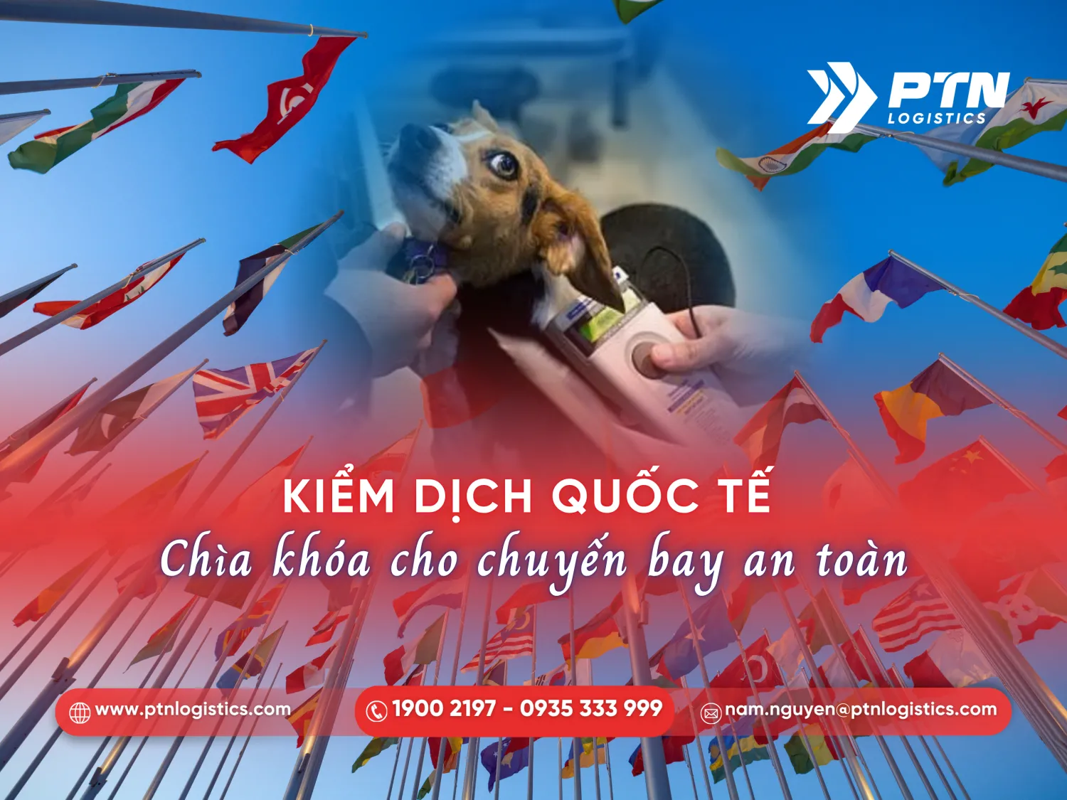 Quy định về kiểm dịch quốc tế