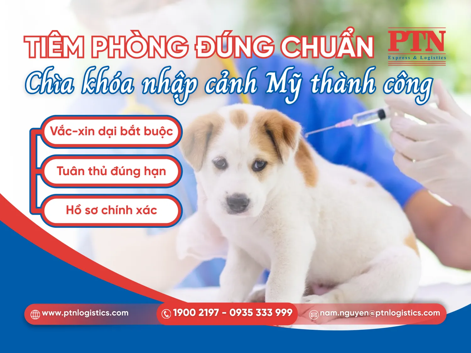 Quy định về tiêm phòng khi nhập khẩu thú cung vào Hoa Kỳ