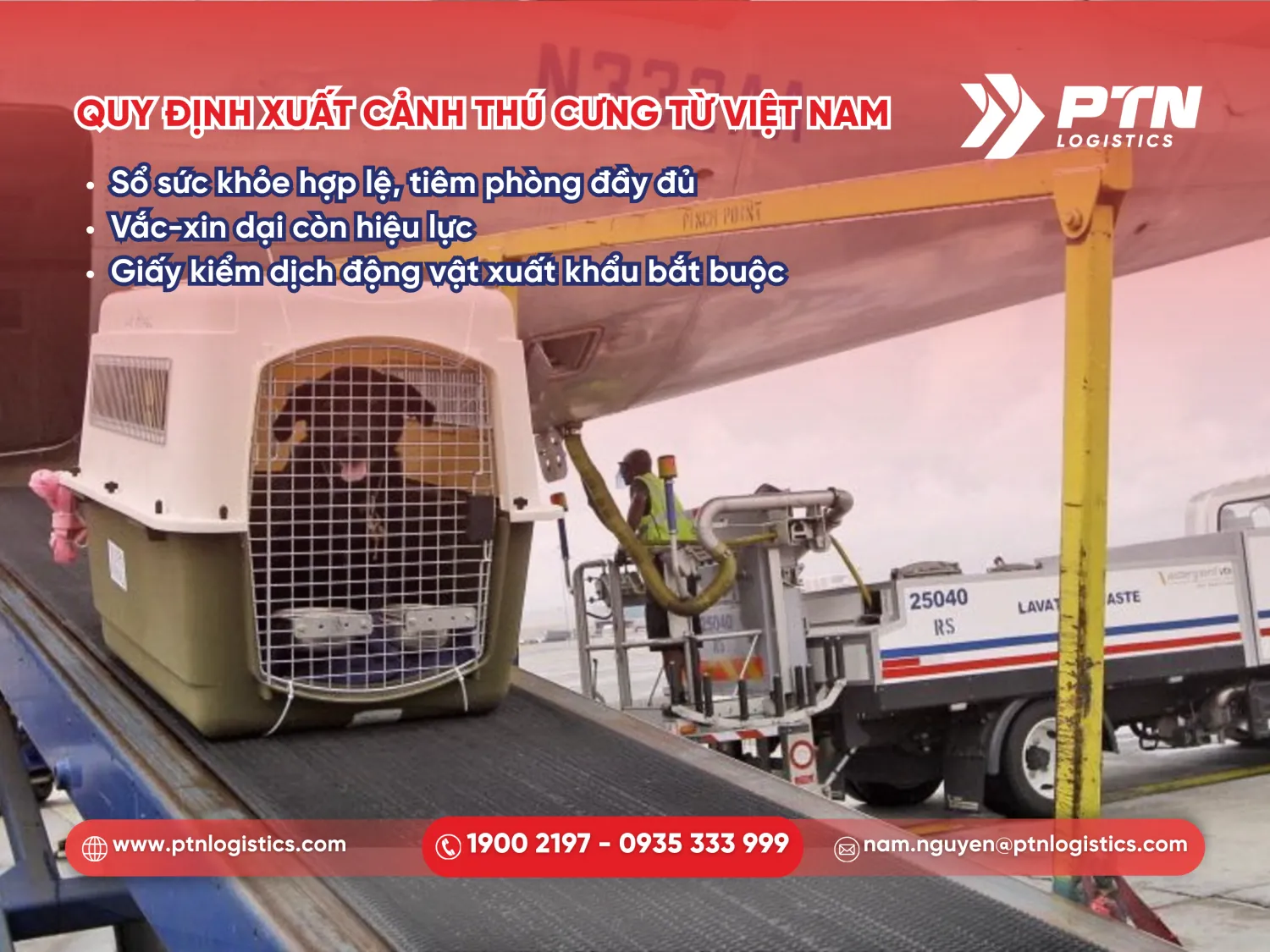 Quy định xuất cảnh thú cưng từ Việt Nam đi nước ngoài