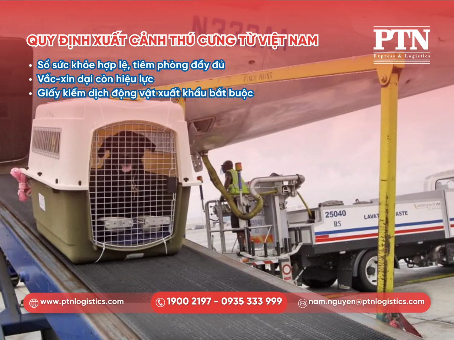 Quy định xuất cảnh thú cưng từ Việt Nam