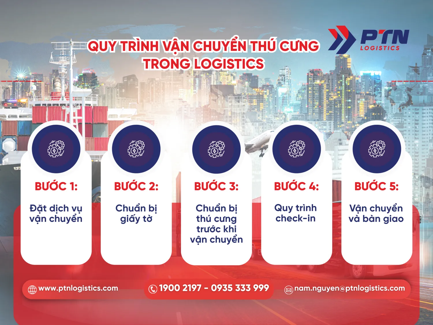 Quy trình chi tiết vận chuyển thú cưng trong logistics