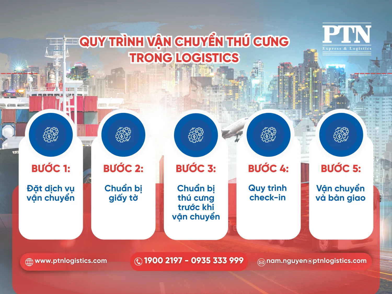Quy trình vận chuyển thú cưng trong logistics