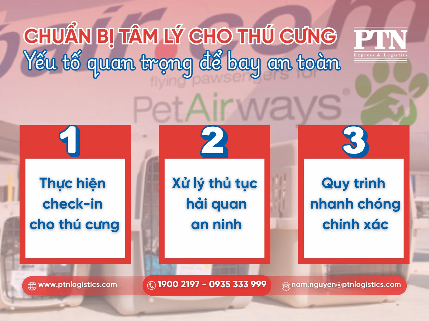Sai lầm khi không cho thú cưng làm quen với lồng
