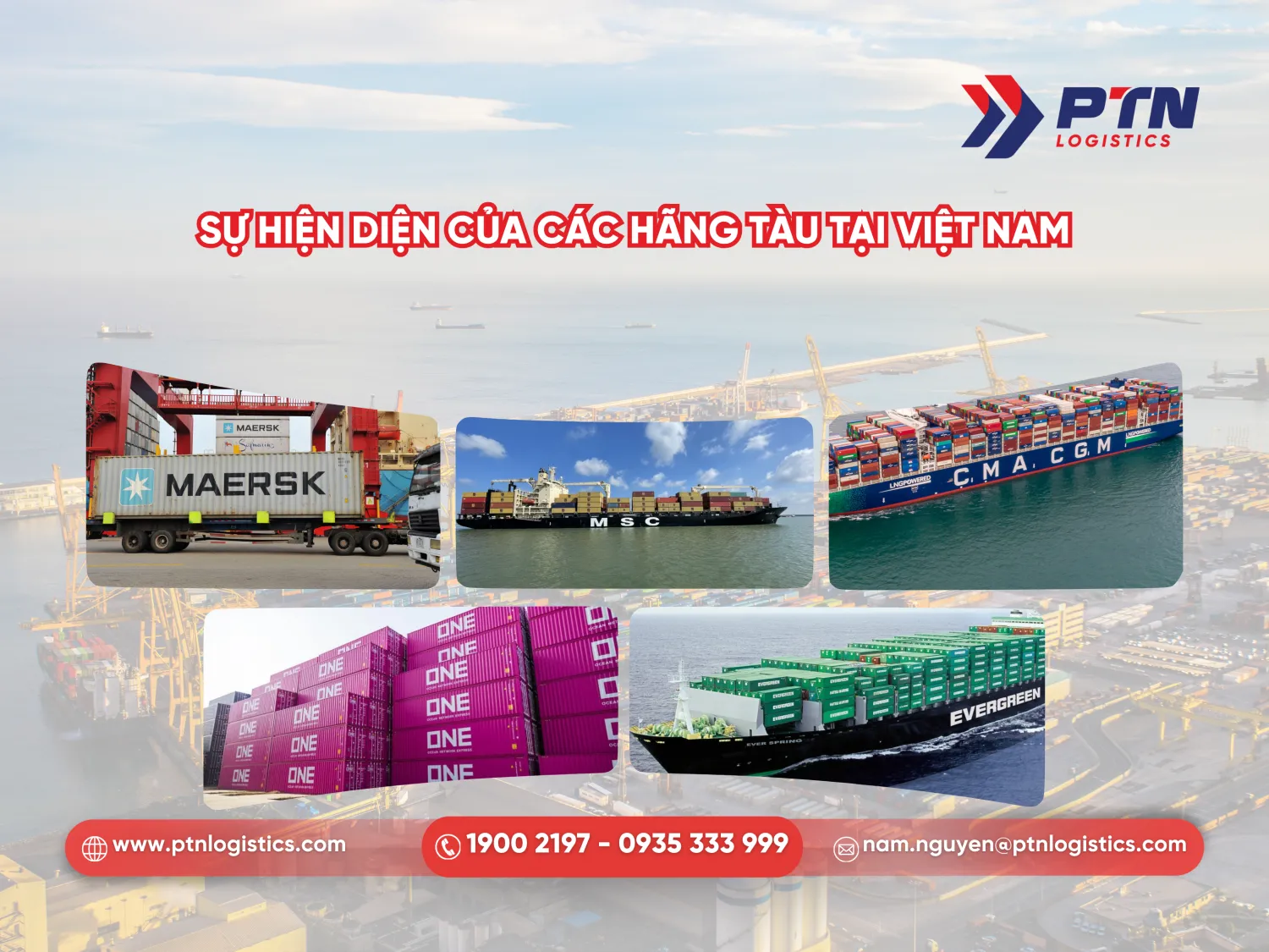 Sự hiện diện của các hãng tàu ở Việt Nam
