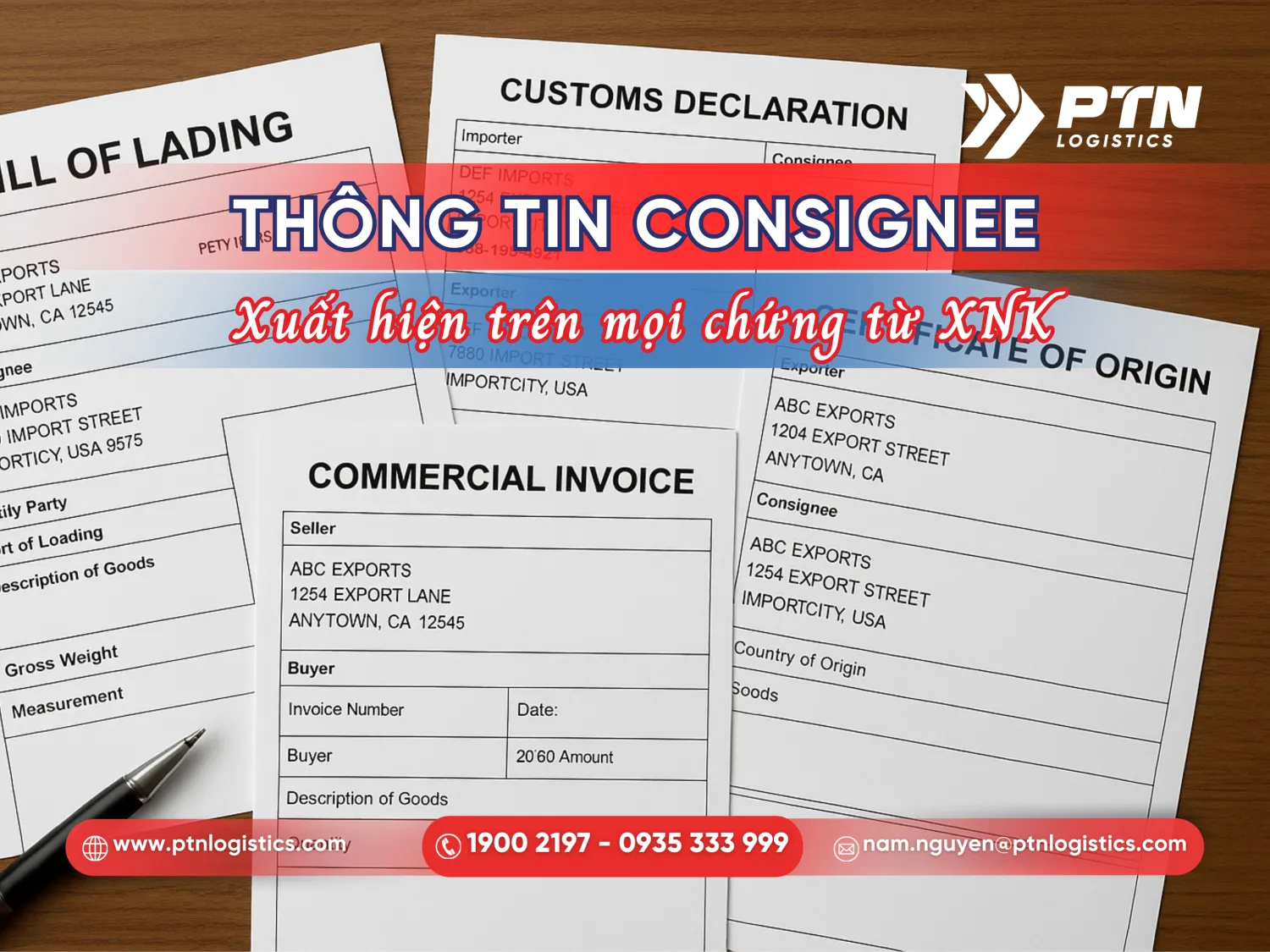 Thông tin về consignee xuất hiện ở đâu