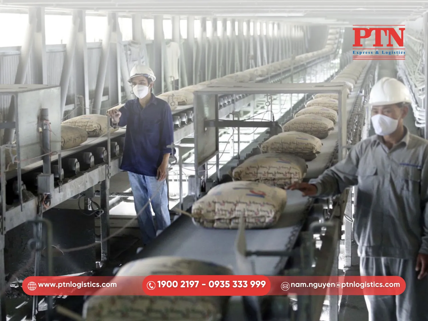 Tiến hành sản xuất và đóng gói