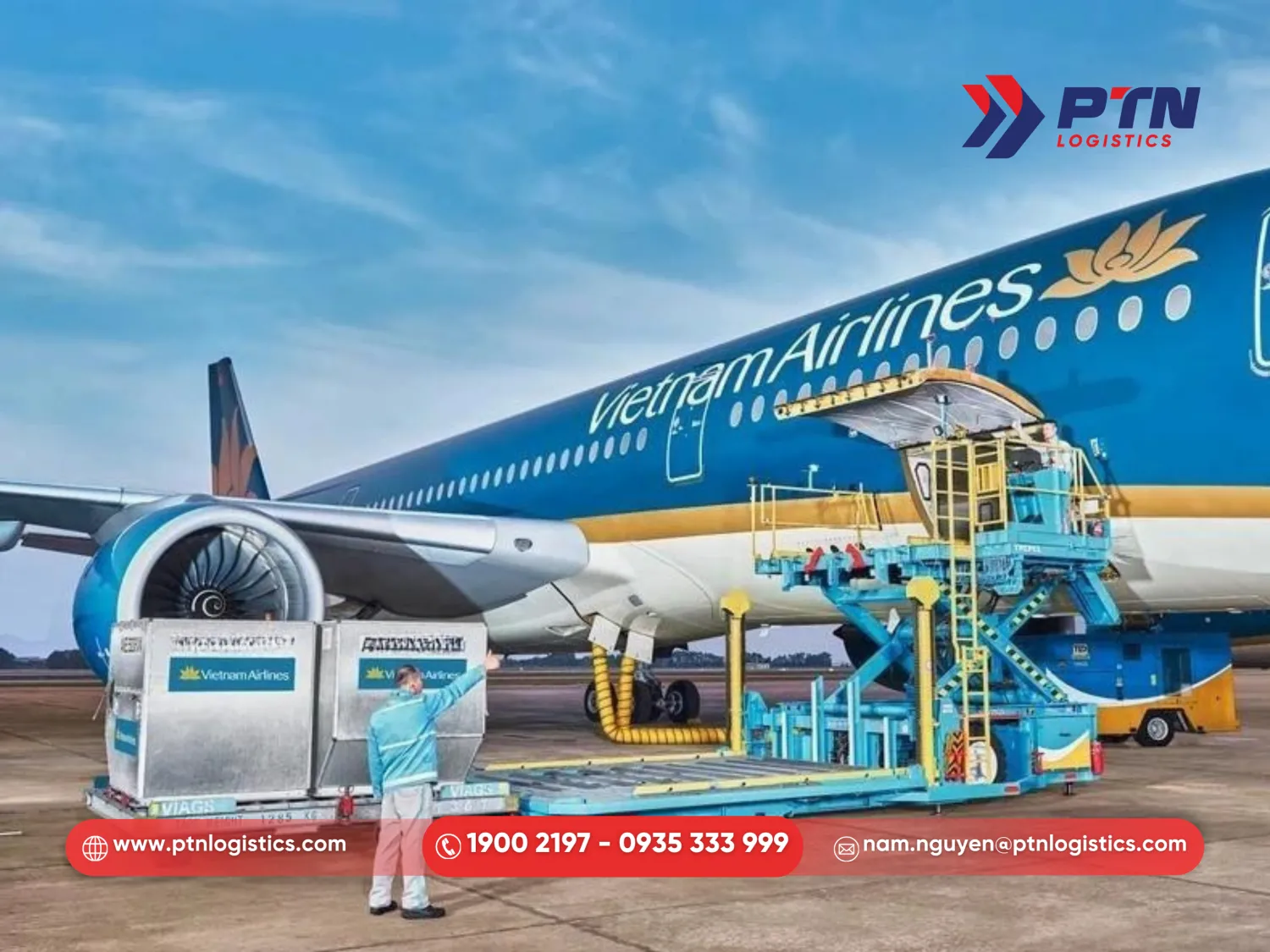 Tìm hiểu hãng hàng không Việt Nam Airline