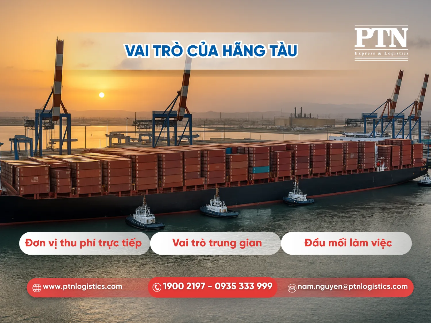 Vai trò của hãng tàu