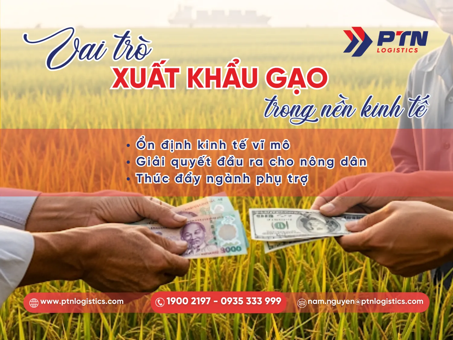 Vai trò của xuất khẩu gạo trong nền kinh tế