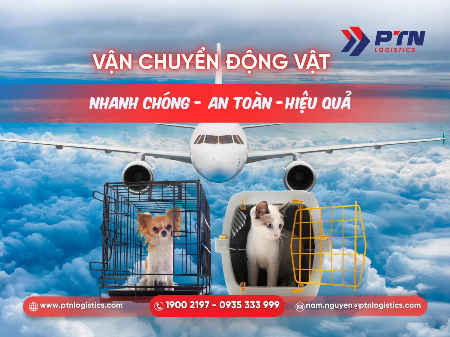 Vận chuyển động vật sống bằng máy bay